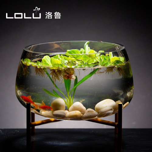 圆形花盆洛鲁水培玻璃花瓶