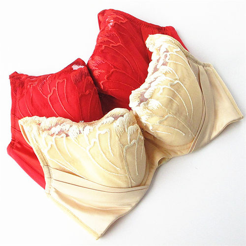 欧系列正品棉杯调整型内胸1
