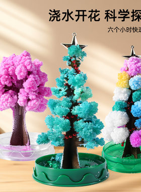 魔法结晶圣诞树浇水开花科学探索