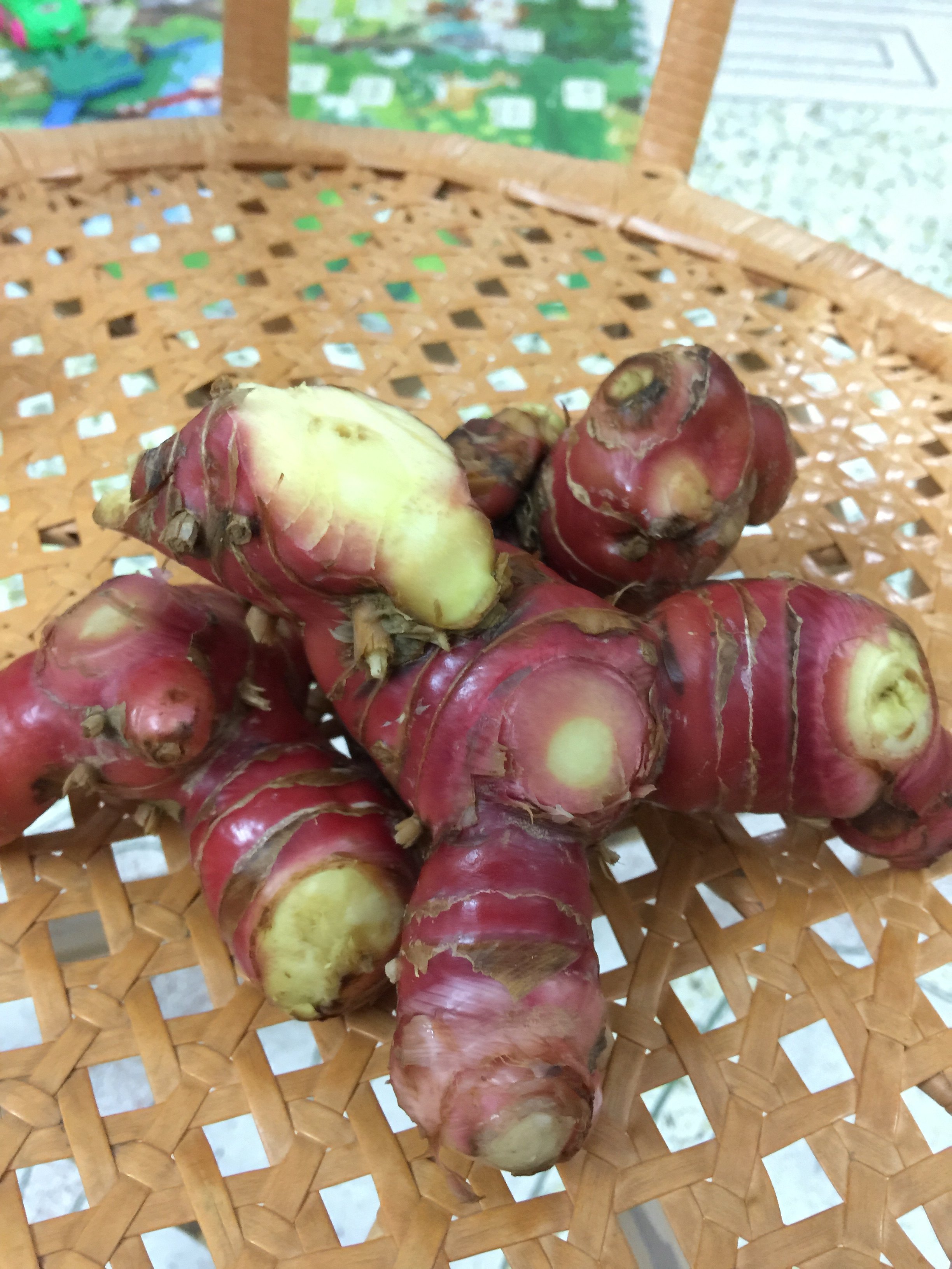 南姜新鲜 潮汕 南姜块 芦苇姜山姜卤味冬荫功汤2斤14元农产品,水产肉类/新鲜蔬果/熟食,其它,淘宝优惠券,粉丝福利购,淘宝优惠卷