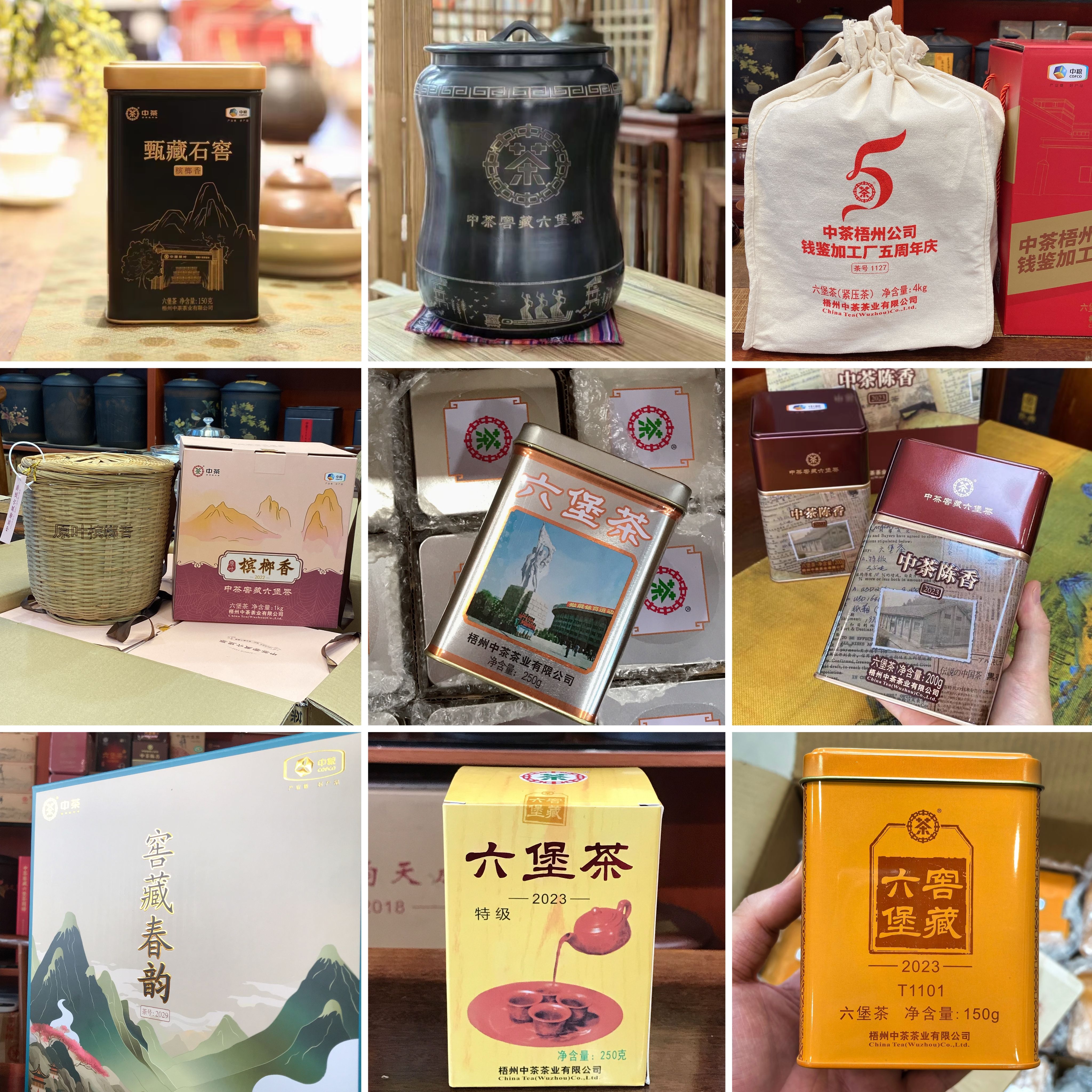 中茶新品品鉴新手推荐