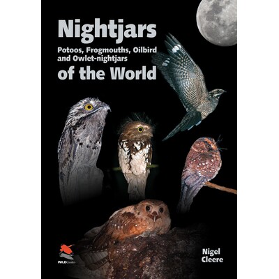 Nightjars, Potoos, Frogmouths, Oilbird, and Owlet-nightjars of the World 世界上的欧夜鹰、普图、蛙嘴夜鹰、油鸱与小型猫头