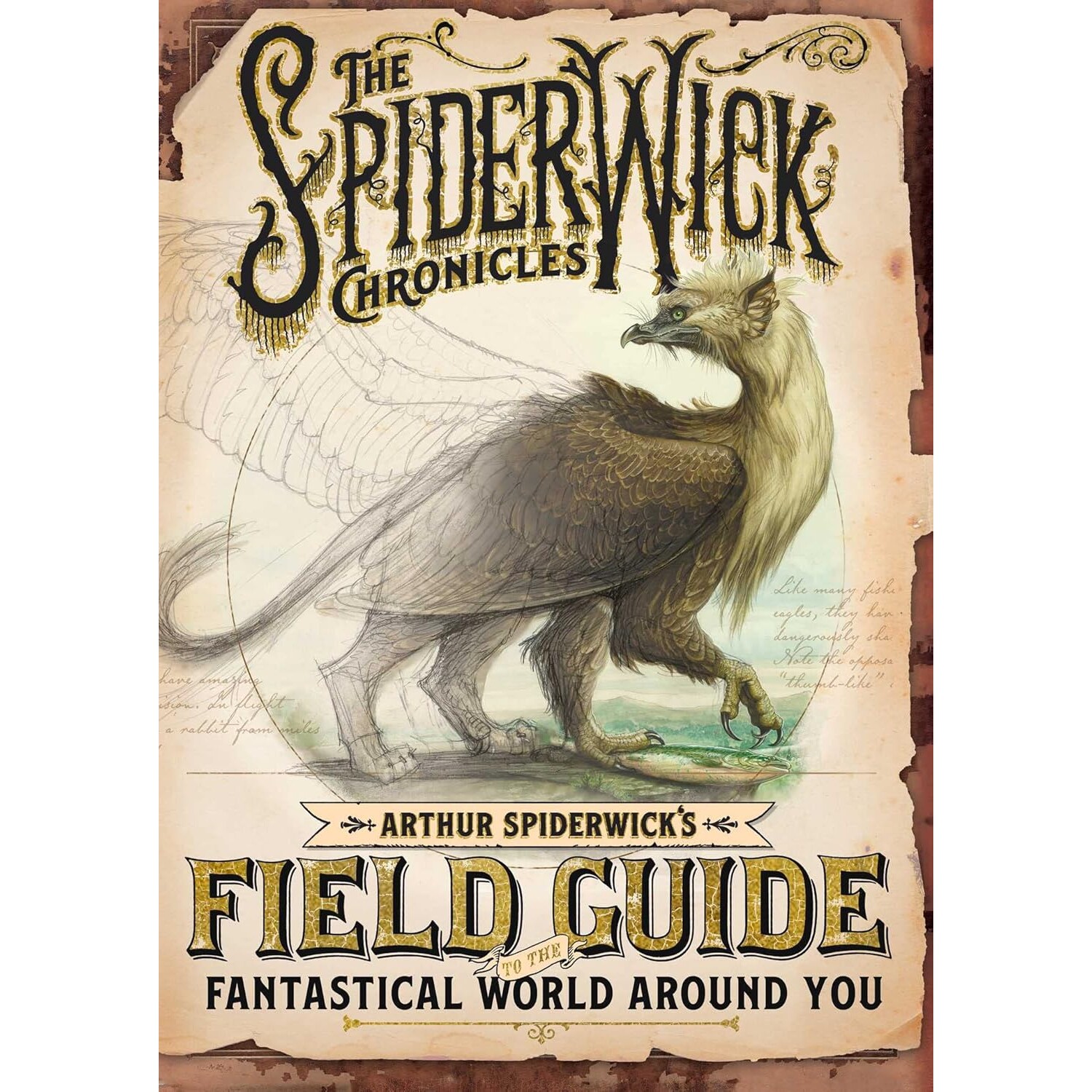 奇幻精灵事件簿 奇幻世界指南 英文原版 Arthur Spiderwick's Field Guide to the Fantastical World Around You