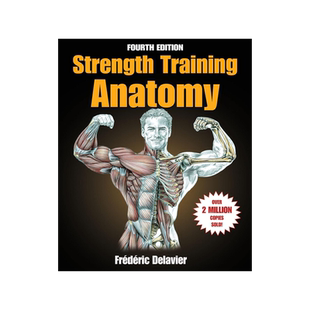 Strength Training Anatomy