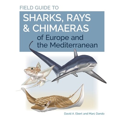 Field Guide to Sharks, Rays & Chimaeras of Europe and the Mediterranean 欧洲和地中海鲨鱼,鳐和银鲛的实地指南 9780691205