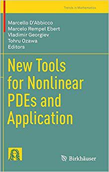 预订 New Tools for Nonlinear PDEs and Application