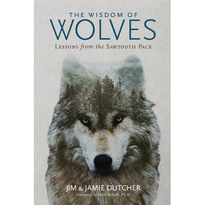 预订 狼的智慧：锯齿狼群的教训 自然 动物 狼 英文 The Wisdom of Wolves: Lessons From the Sawtooth Pack
