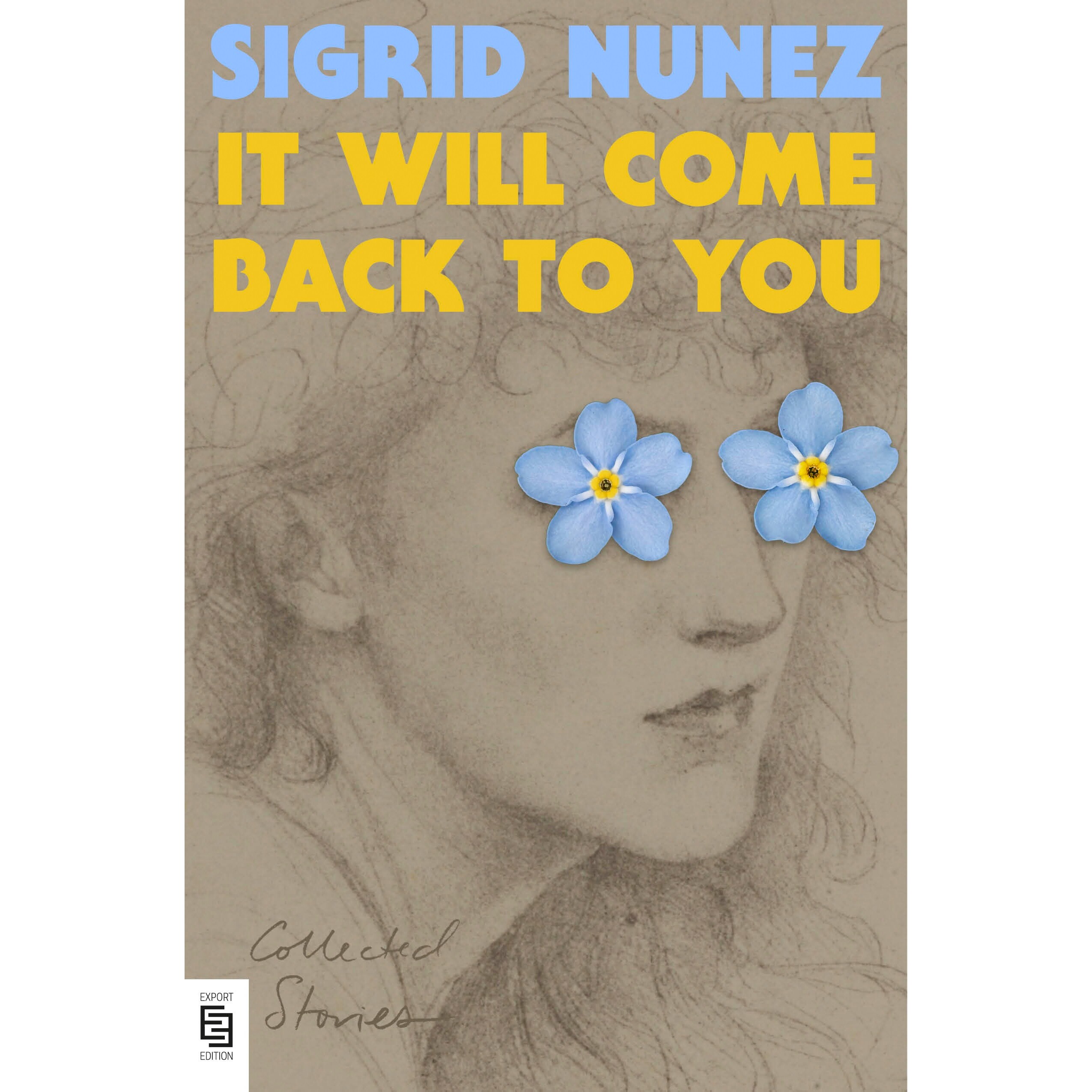预售 它自会回来找你 短篇小说集 It Will Come Back to You Collected Stories 英文原版 Sigrid Nunez 美国国家图书奖 朋友