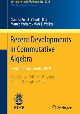 预订 Recent Developments in Commutative Algebra
