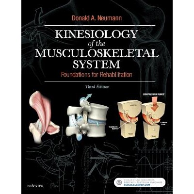 Kinesiology of the Musculoskeletal System Foundations for Rehabilitation 肌肉骨骼系统运动学:康复基础 9780323287531
