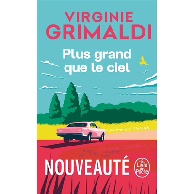 现货 比天空还要广阔 Virginie Grimaldi 法语原版小说 Plus grand que le ciel