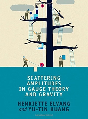 Scattering Amplitudes in Gauge Theory and Gravity 规范理论和引力中的散射振幅 9781107069251