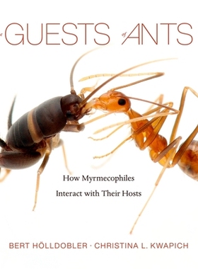 The Guests of Ants How Myrmecophiles Interact with Their Hosts 蚂蚁的客人：蚁栖生物如何与宿主互动 9780674265516