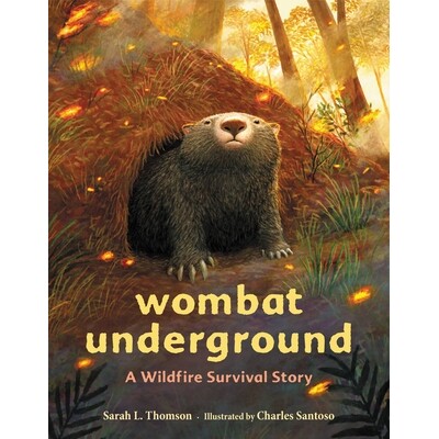 现货 地下的袋熊 澳洲山火求生故事 Charles Santoso 精装绘本 自然保护 Wombat Underground A Wildfire Survival Story 英文原