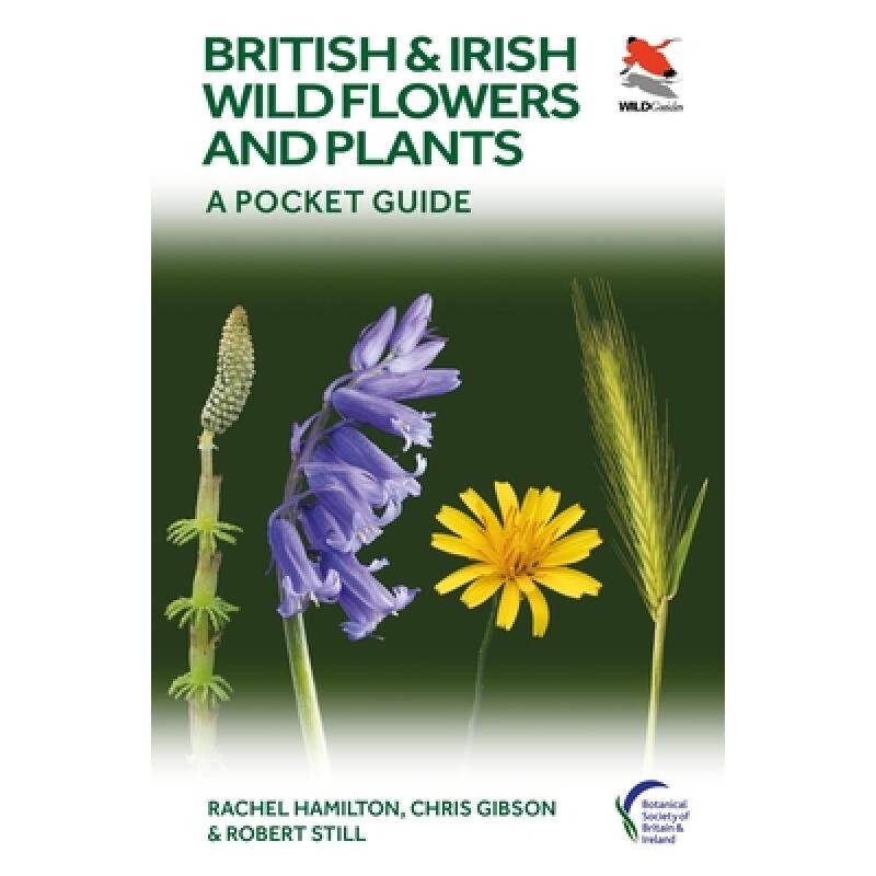 British and Irish Wild Flowers and Plants A Pocket Guide 英国和爱尔兰野生花卉与植物:袖珍指南 9780691245409
