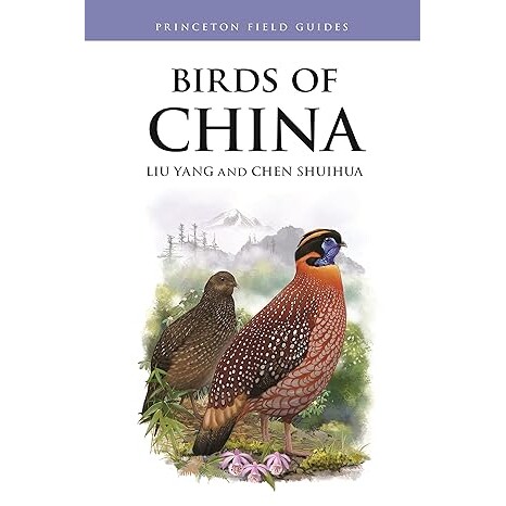 预订商品
