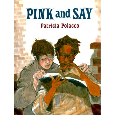 预订 粉红色和说 历史故事 美国南北战争时期 英文 善意读本 Kindness Editions, The Pink and Say:9780399226717