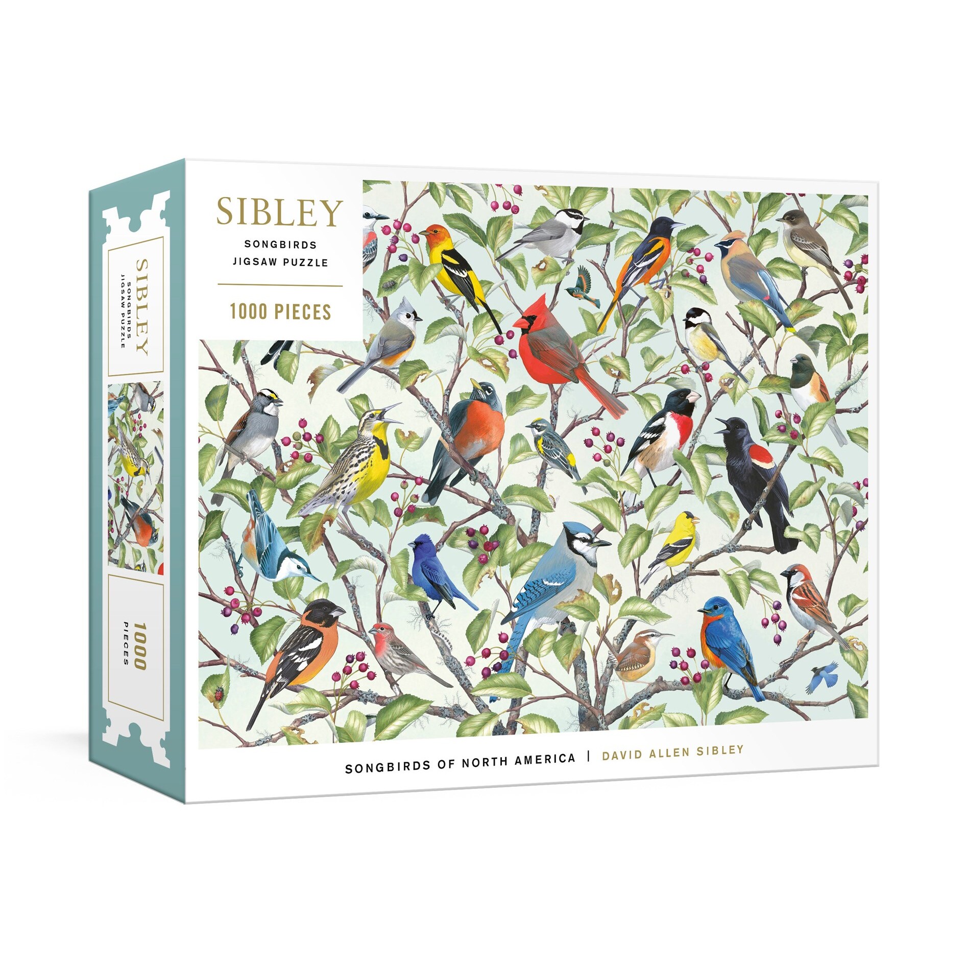 预售 西布利鸟类爱好者1000片拼图 David Allen Sibley 进口拼图 鸟圈周边 Sibley Songbirds Jigsaw Puzzle 观鸟爱好者礼物 英文
