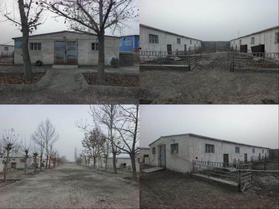 4月11日阿克苏一宗农用地（21.13亩）及地上建筑物附属物网络拍卖公告