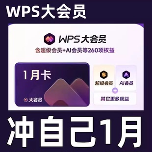 WPS超级大会员卡PRO一年372天含稻壳wps普通会员12个月年卡VIP