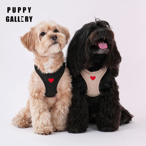 韩国puppygallery狗胸背牵引绳