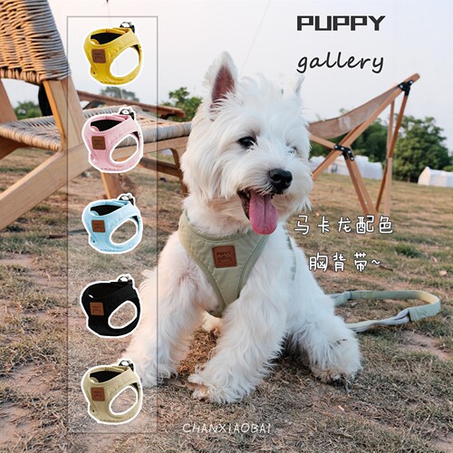 韩国puppygallery纯色宠物胸背带
