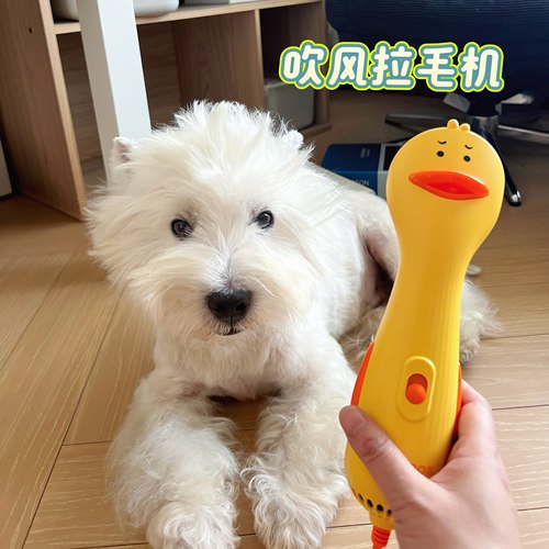 来旺兄弟宠物吹毛梳一体速干造型