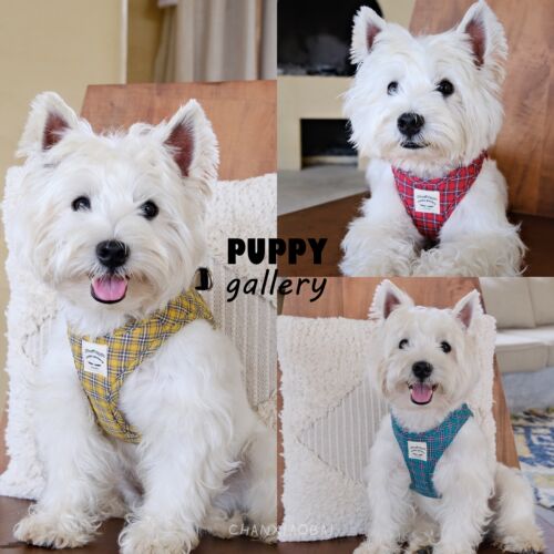 韩国puppygallery樱桃小中胸背带