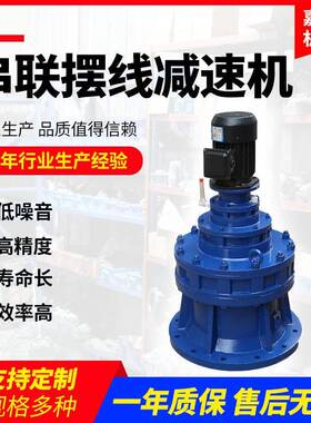 非标可定串联减速机BLSD631-0.75立式串联摆线针轮减速机齿轮箱