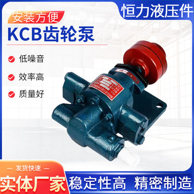 KCB齿轮油泵厂家供应润滑油输送齿轮泵卧式电动不锈钢齿轮泵