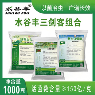 金龟子绿僵菌球孢卵孢白僵菌微生物菌剂高孢粉原粉地上地下害虫
