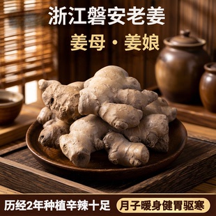 浙江磐安生姜之老姜母姜娘更辛更辣历经2年再生种植老生姜小黄姜