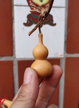 绕指柔天津嘴葫芦种子葫芦籽种
