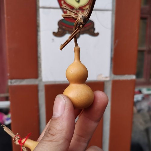 绕指柔天津嘴葫芦种子葫芦籽种