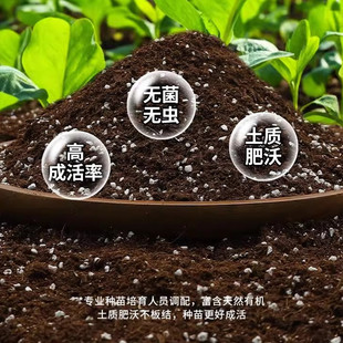 鲜花营养土养花专用通用花土盆栽花卉种植物土壤种植泥土育苗基质