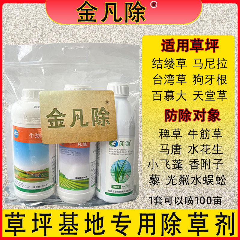 金凡除草坪基地除小飞蓬牛筋草