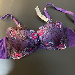 桑扶兰70C立体杯上薄下厚超聚拢钢圈调整型双排扣