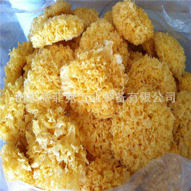 新型节能银耳热泵烘干机白木耳空气能烘干房热泵干燥机价格低
