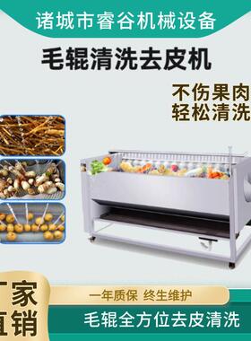 毛辊中草清洗机商用毛刷去鱼鳞鱼食品厂用自动清洗机不锈钢材质