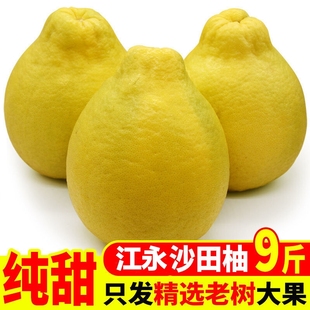 正宗湖南江永香柚纯甜沙田柚白心柚子永州沙田柚精选大果包邮