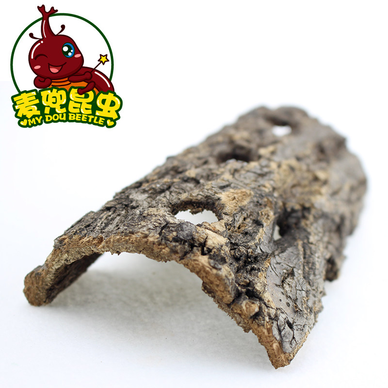 攀爬树皮独角仙成虫躲避树枝造景锹甲昆虫防翻倒栎木甲虫树洞树皮