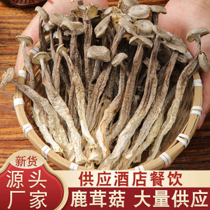 新货鹿茸菇干货鹿茸菌特产级脆脆菇干煲汤蘑香菇云南菌子