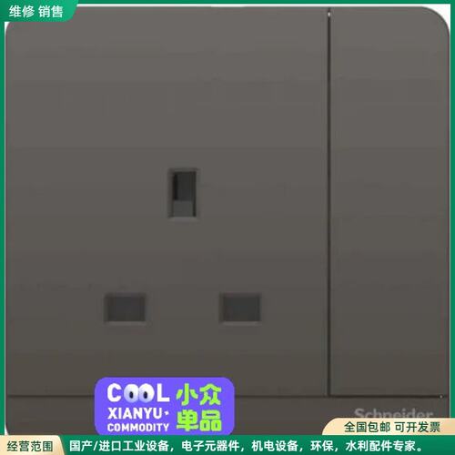 可维修Schneider 施耐德 E8315_DG_C5 13A