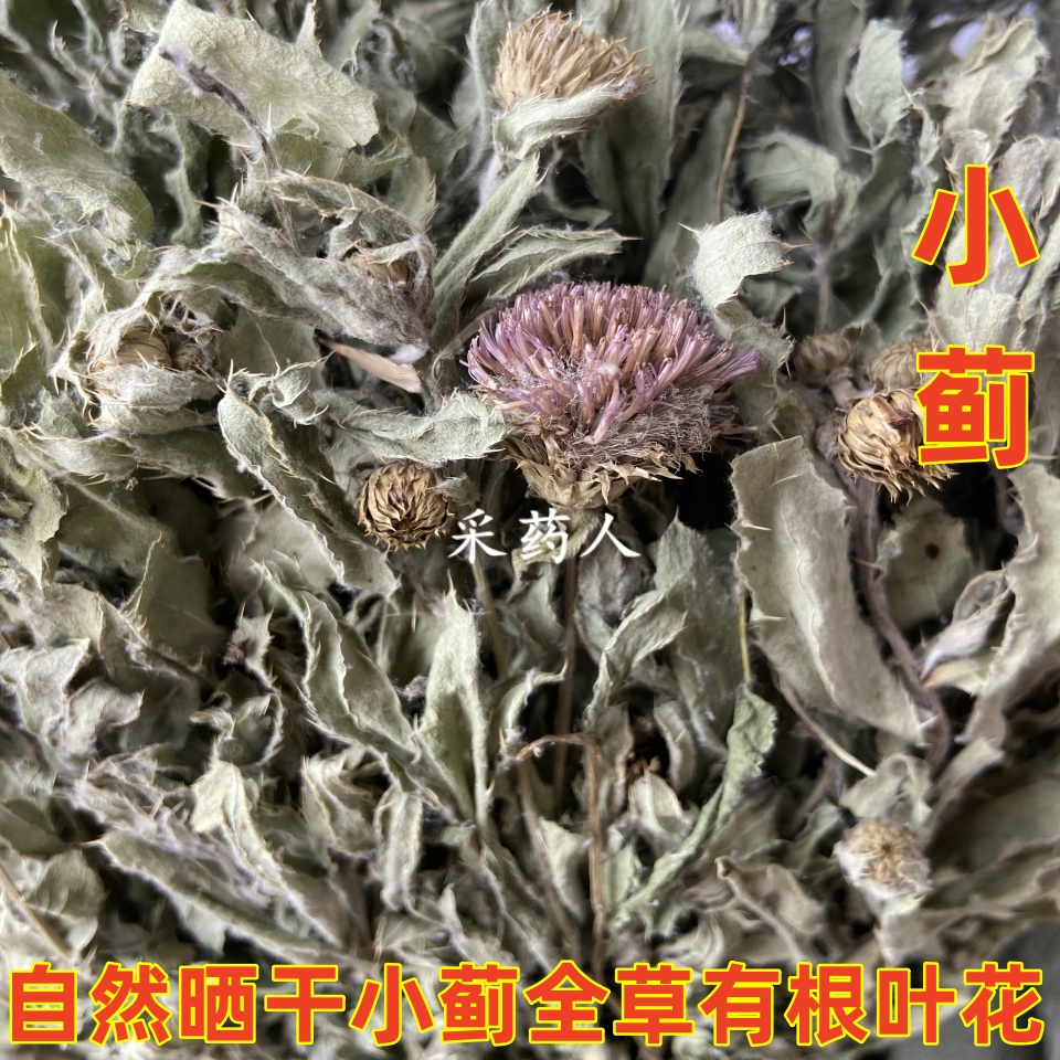 小蓟全草新晒干刺儿菜蓟蓟草刺狗牙小恶鸡婆整颗有花杆叶干品小蓟