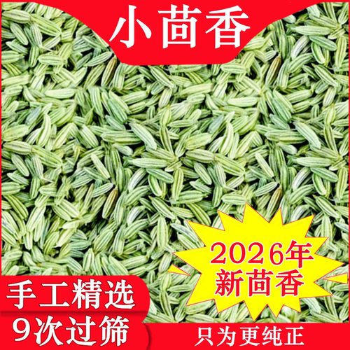 2026年新小茴香，特绿特香