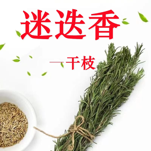 【2025年新货】迷迭香干枝