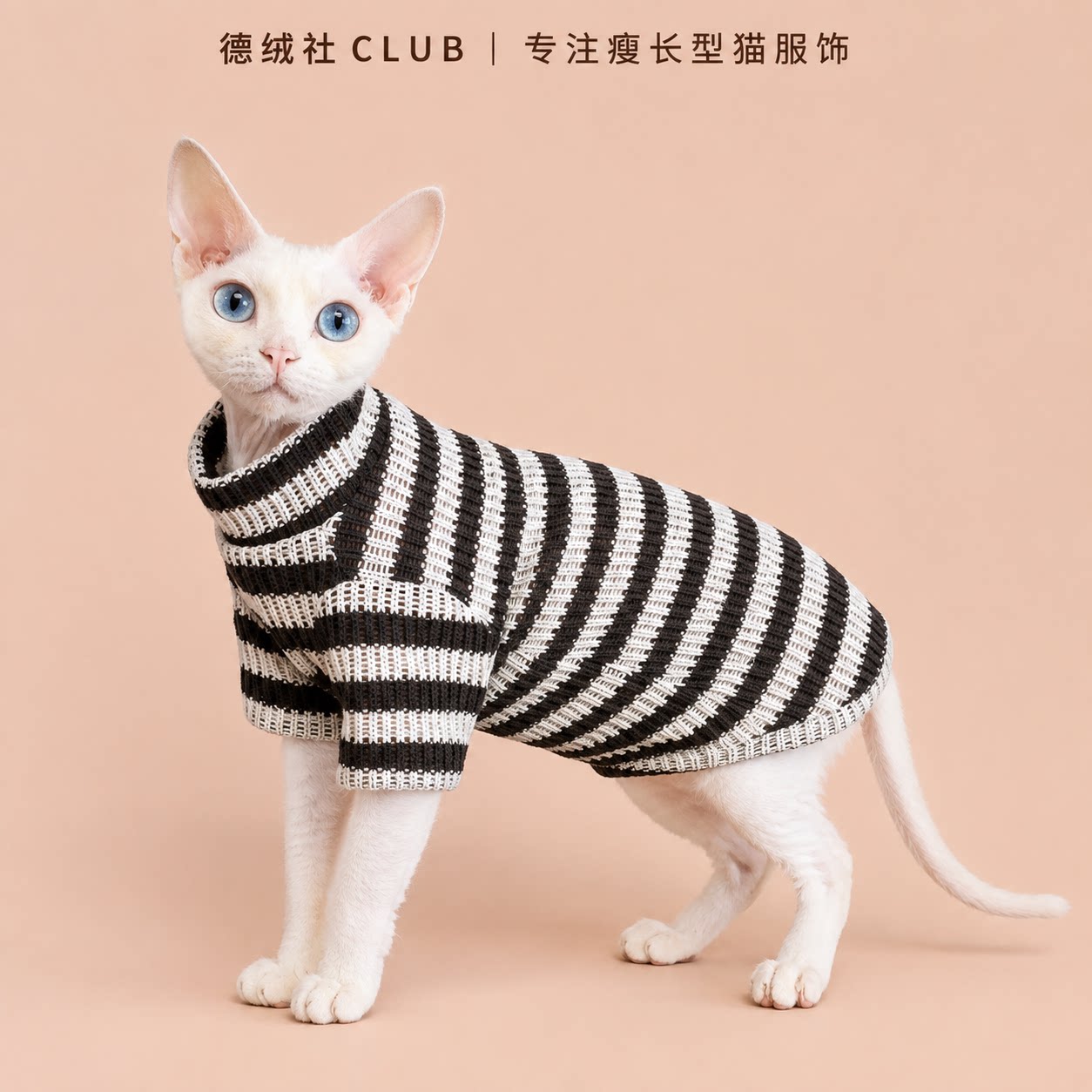 秋冬德文条纹高领针织毛衣猫