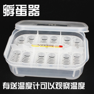 乌龟蛋孵化盒孵化器水龟蛋巴西龟蛋蜥蜴蛋蛇蛋孵化箱繁殖产蛋盒