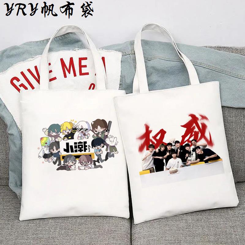 小潮Team手提帆布包环保袋装