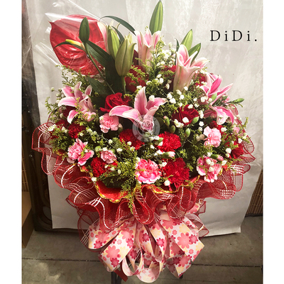 巨型康乃馨探望病人北京鲜花速递